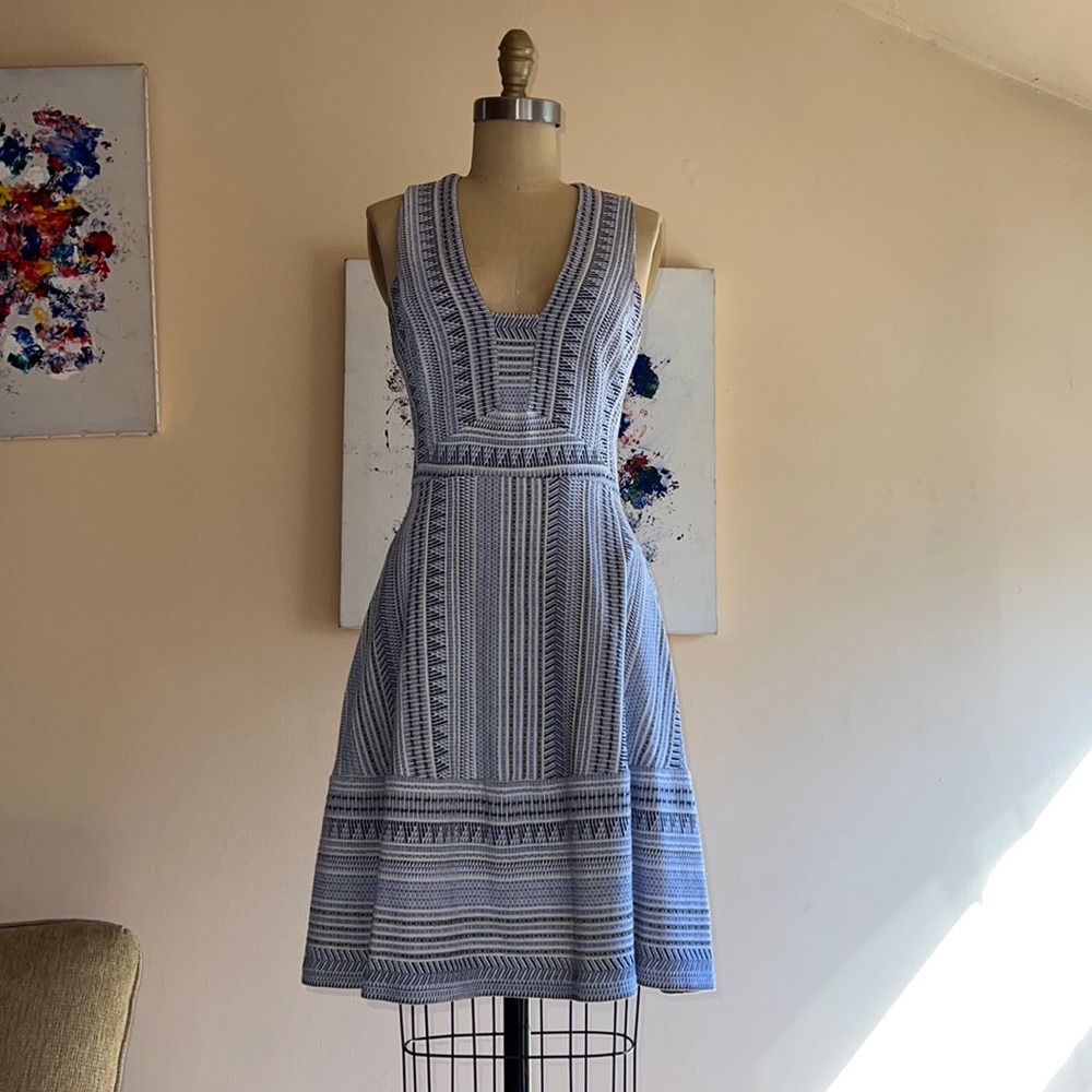 BCBGMaxAzria spring A line dress